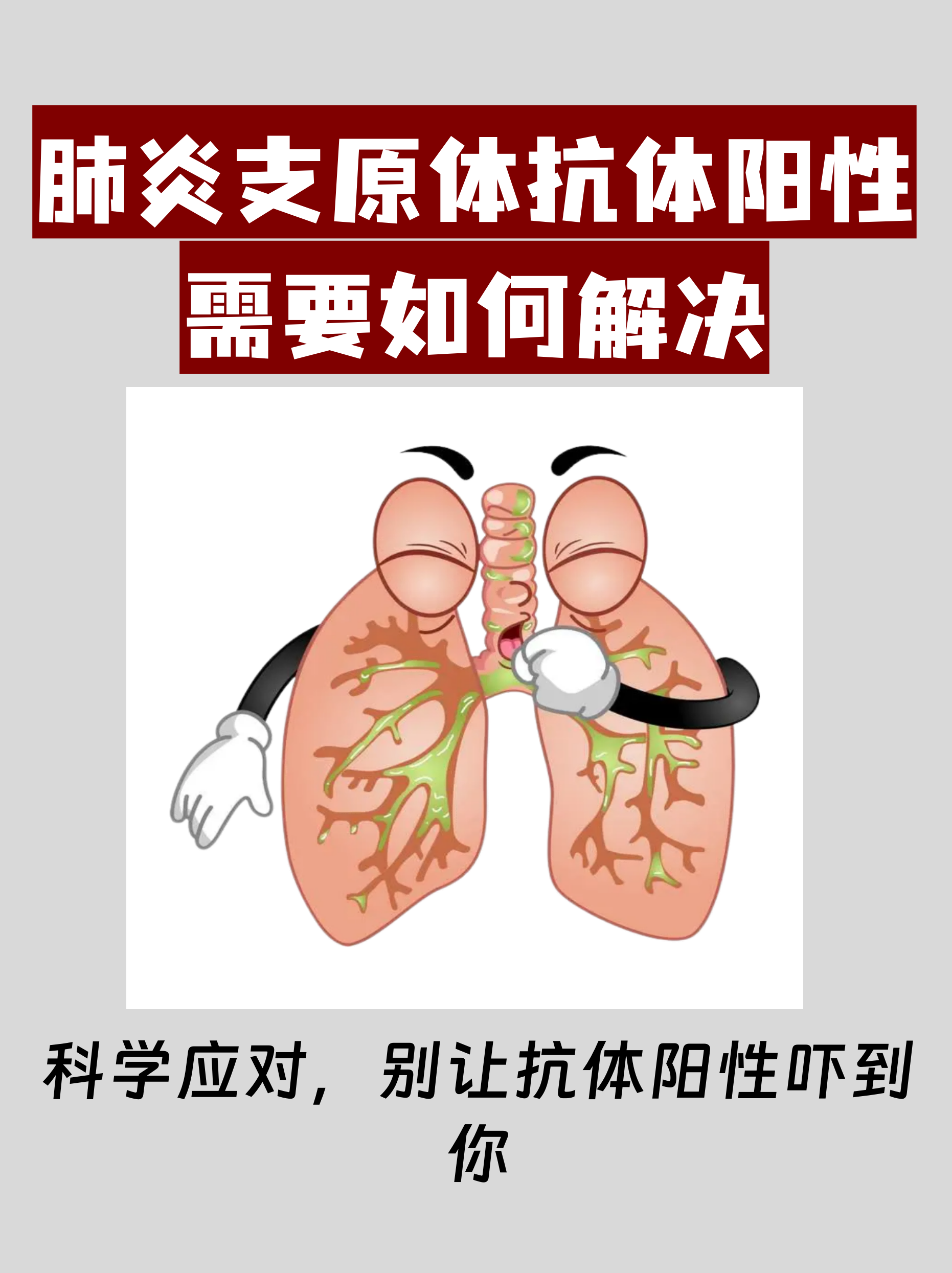 河北新增4例本土确诊均在石家庄︰(河北石家庄昨增12例阳性感染者)-第1张图片