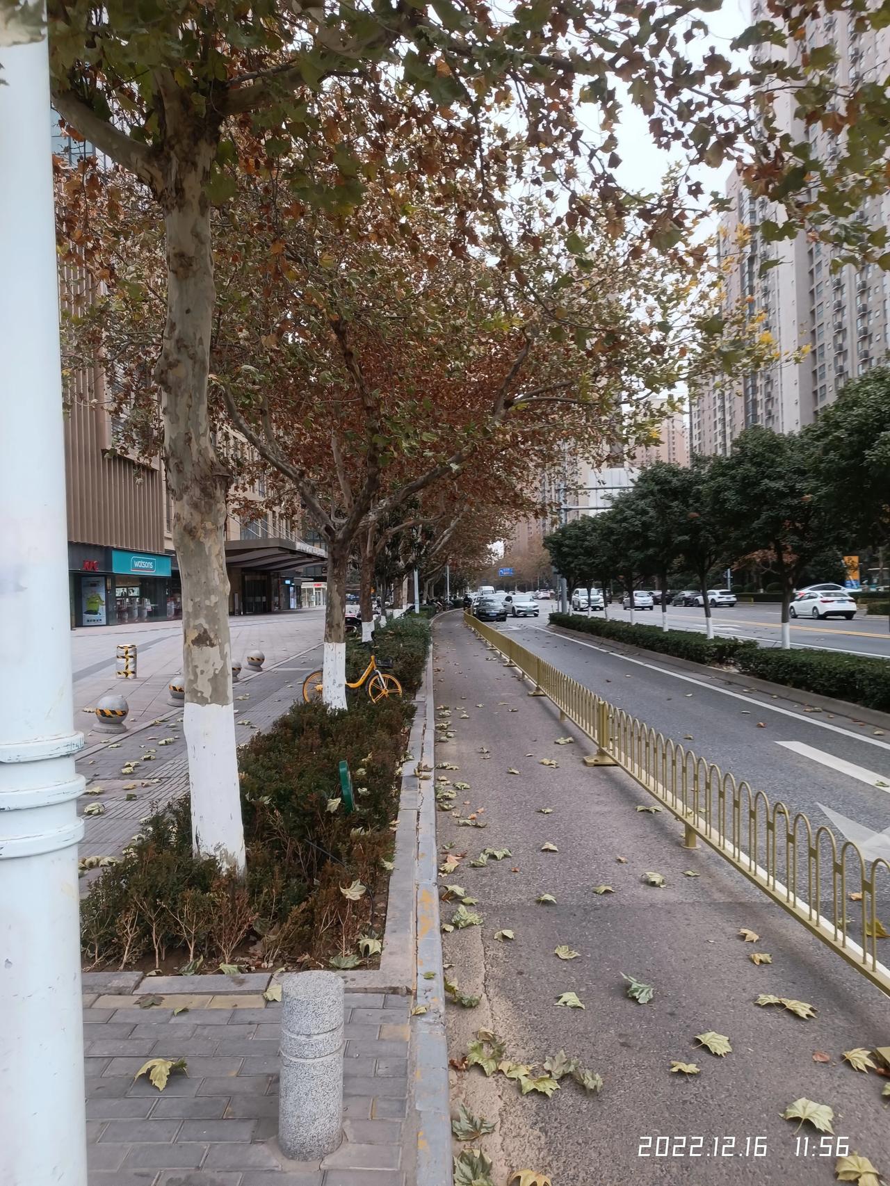 “普兰店区一阳性患者因隐瞒行程被立案调查” 普兰店刚刚发布？-第2张图片