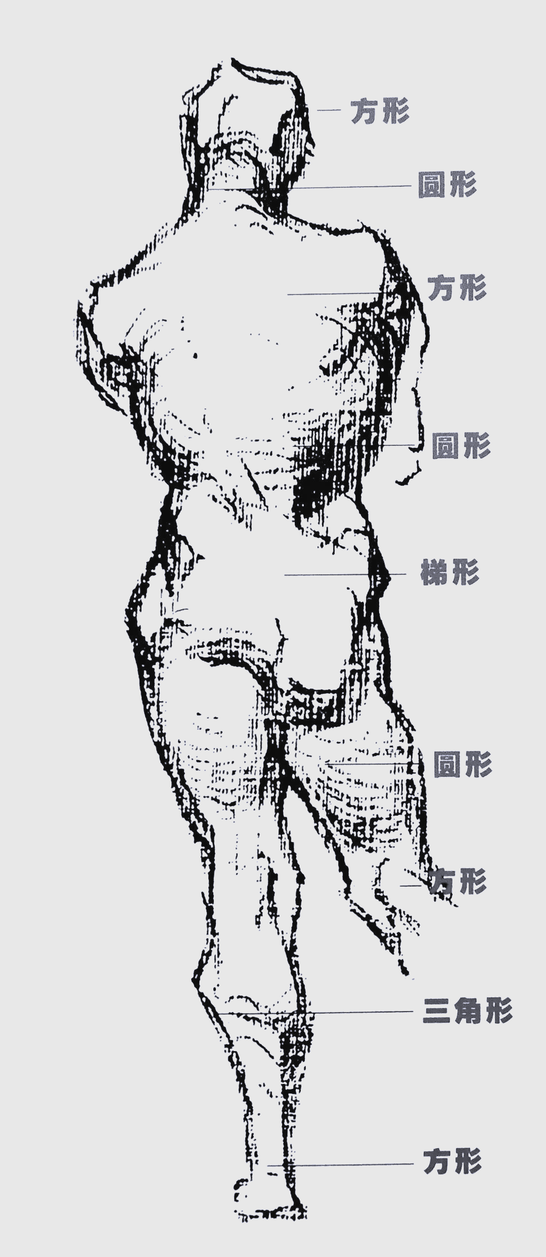 【2022冬奥会什么时间开始/人体结构几何体速写】-第2张图片