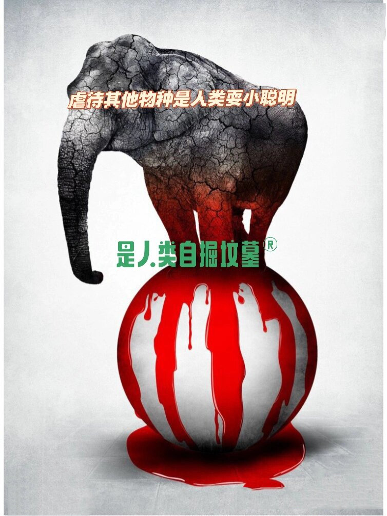 BF.7毒株或成为未来全球主流毒株,典型案例 引以为戒-第2张图片