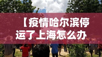 31省份增82例本土确诊涉13省市,31省新增本土确诊10例-第2张图片