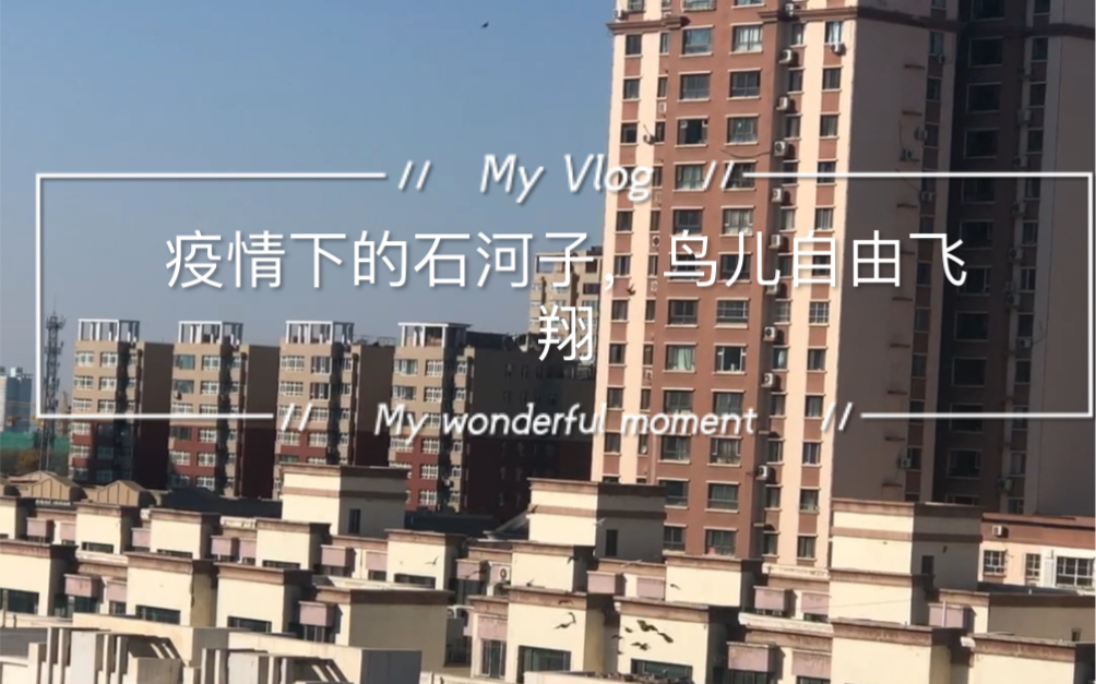 【新疆石河子最新疫情/新疆石河子位置图】-第2张图片