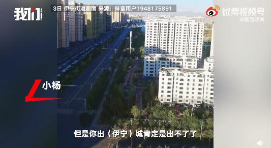 疫情青岛,青岛疫情最新数据-第3张图片