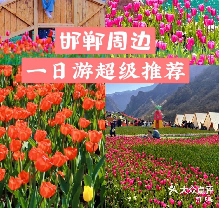 “邯郸2月13日限行” 邯郸2月13日限行尾号？-第2张图片