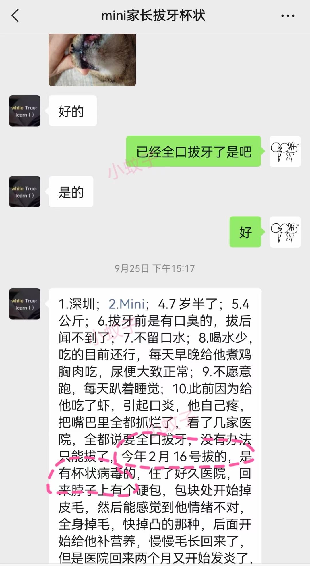 青岛疫情-青岛疫情蚊子最新消息-第3张图片