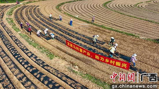「广西钦州最新疫情」〃广西钦州最近新闻头条-第2张图片