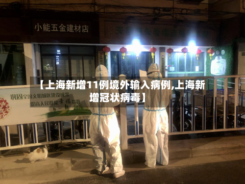 全国新增境外输入11例.全国新增241 1093-第2张图片