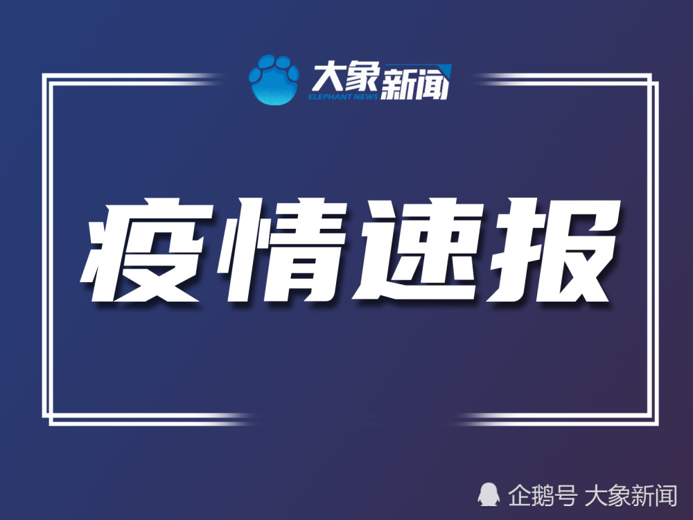 河南今日最新疫情︰(河南最新动态消息)-第3张图片