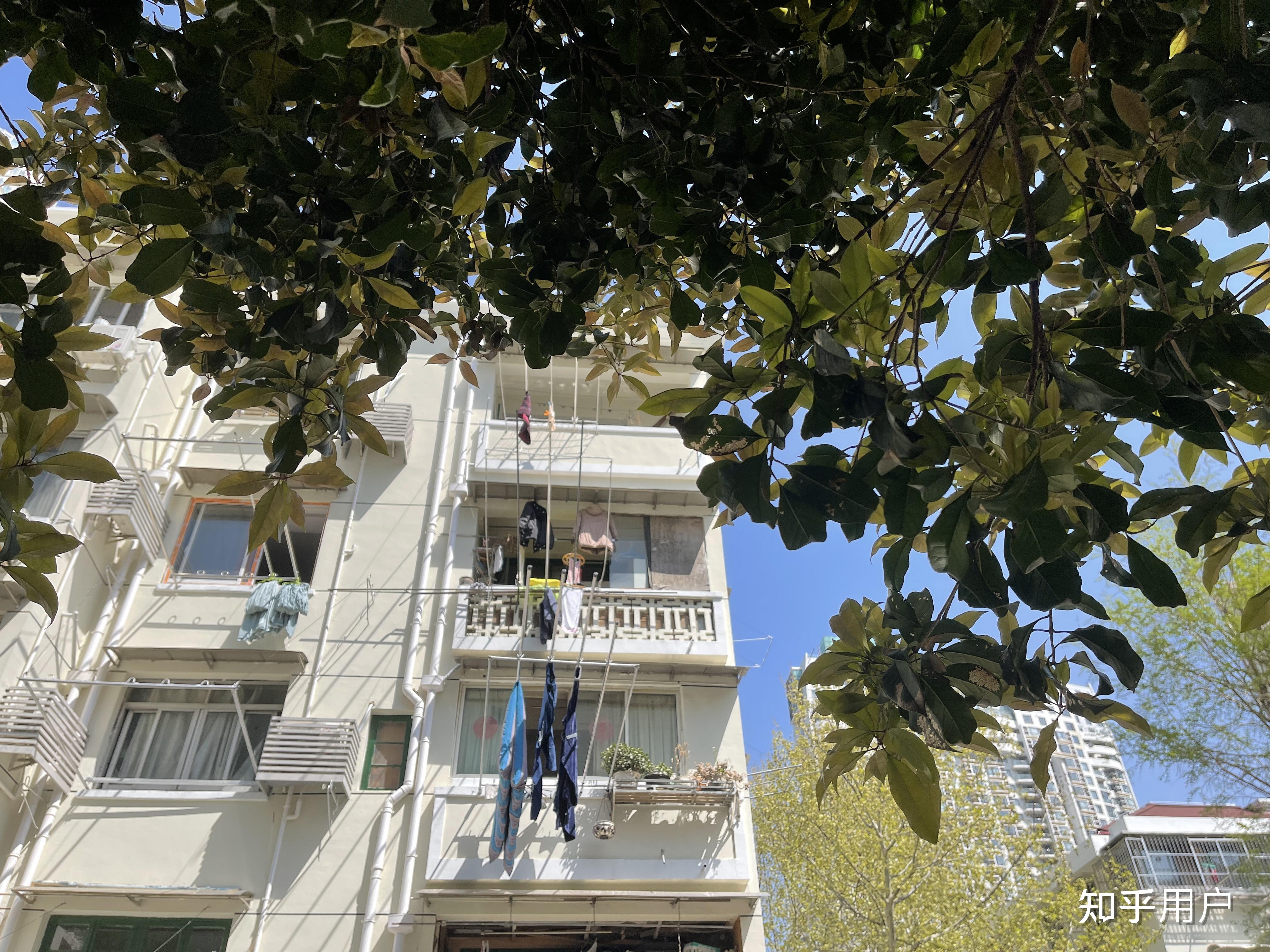 “上海一感染者3名同住人确诊	” 2026最新一轮病毒上海有多少人感染？-第2张图片